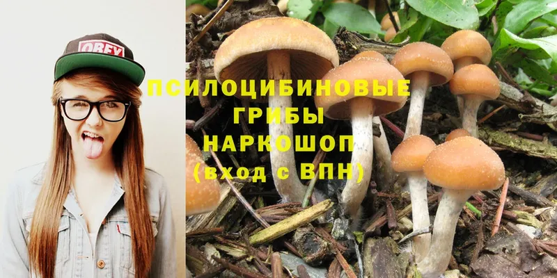 Галлюциногенные грибы MAGIC MUSHROOMS  Тайга 