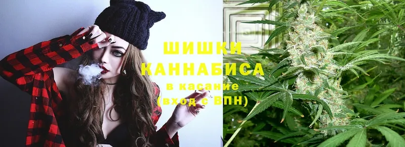 сколько стоит  Тайга  Канабис White Widow 